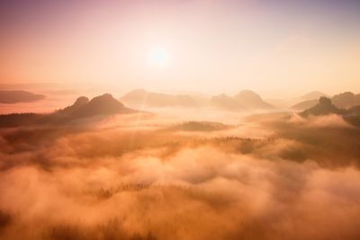 Autumn long deep valley full of heavy colorful mist. autumn landscape within daybreak after rain