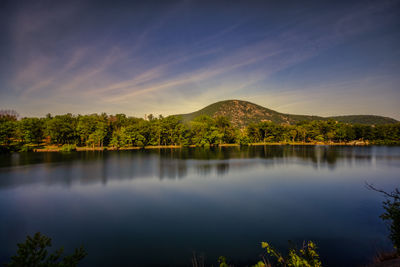 Scenic view of lake by trees against sky