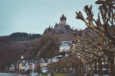 Trees in city against clear sky