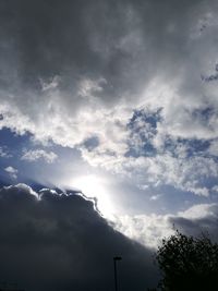 Low angle view of trees against sky