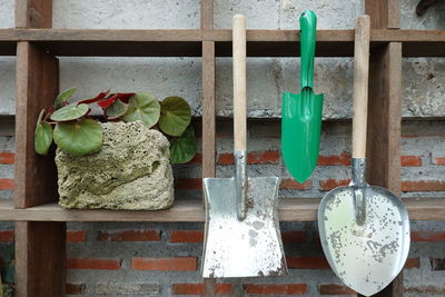 Potted plant hanging on shelf against wall