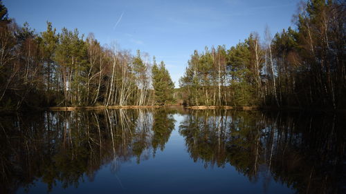 Scenic view of lake in forest against sky