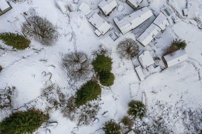 High angle view of snow covered trees on field