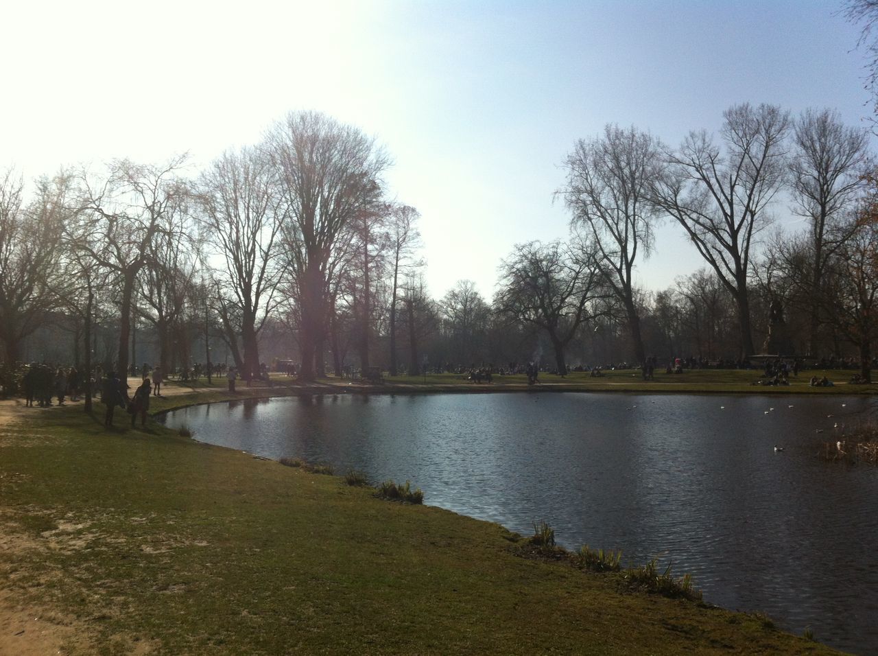 tree, water, clear sky, tranquility, tranquil scene, lake, scenics, bare tree, river, nature, beauty in nature, sky, branch, riverbank, growth, park - man made space, reflection, lakeshore, day, outdoors