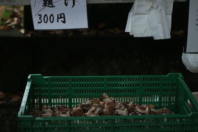 High angle view of dogs in basket for sale