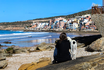Rear view of woman sitting with dog at beach against clear sky