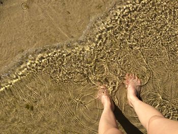 Low section of woman on beach