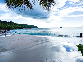 Scenic view of beach against sky