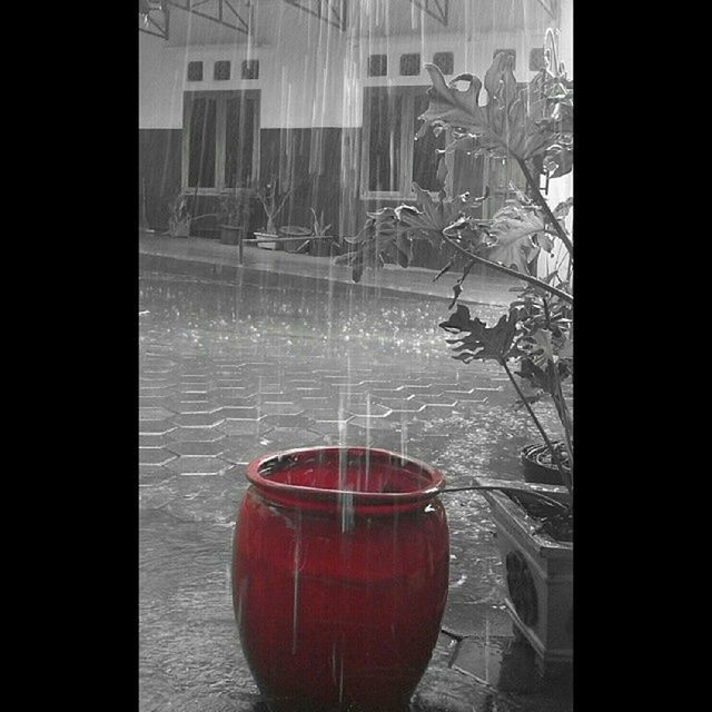 red, window, indoors, glass - material, reflection, transparent, built structure, architecture, table, water, no people, glass, building exterior, auto post production filter, close-up, house, day, potted plant, home interior