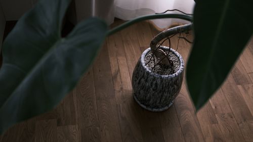 Close-up of coffee beans on table