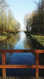 Reflection of trees in water