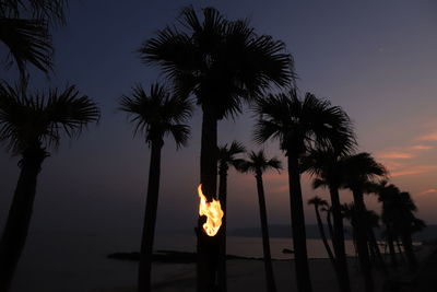 Silhouette palm trees against sky at sunset