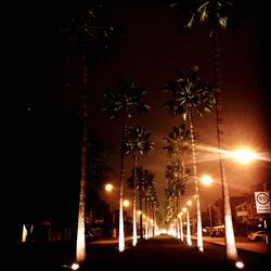 Road lit up at night