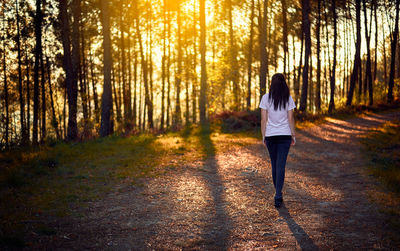 Rear view of woman walking in forest during sunset
