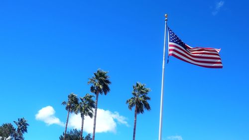 Low angle view of palm trees against blue sky