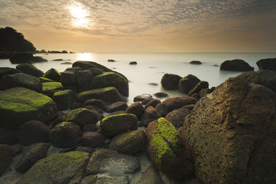 Close-up of pebbles on beach against sky during sunset