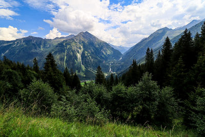 Krimml waterfalls, located mountainside are the highest in europe with its 380 meters. august 2020.