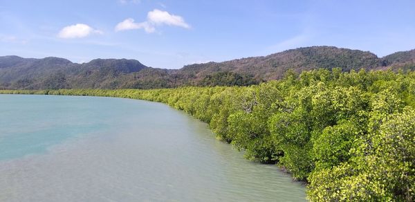 Scenic view of landscape against sky