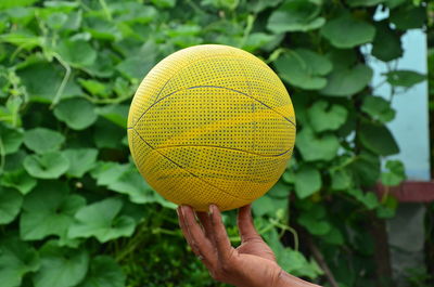 Close-up of hand holding ball