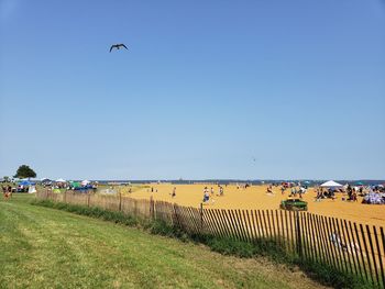 Birds flying over beach against sky