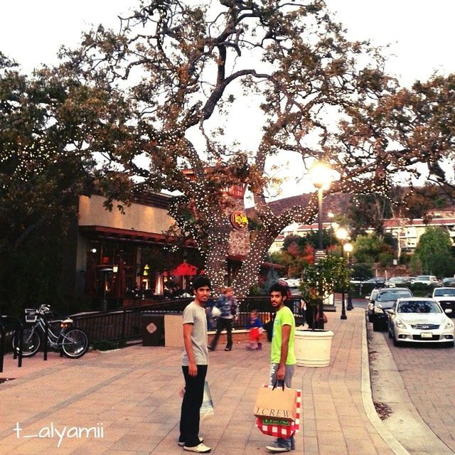 tree, street, lifestyles, transportation, city, car, land vehicle, person, building exterior, men, city life, leisure activity, mode of transport, walking, architecture, large group of people, built structure, road, sunlight