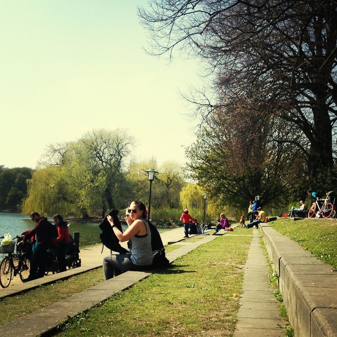 tree, large group of people, person, lifestyles, leisure activity, men, park - man made space, grass, relaxation, sitting, park, mixed age range, clear sky, togetherness, bench, growth, group of people, the way forward, nature