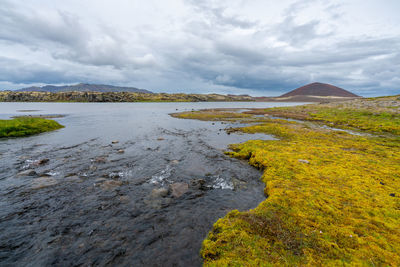 Wetlands of southern iceland on a cloudy day. volcanic landscape.