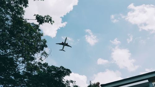 Low angle view of airplane flying in sky