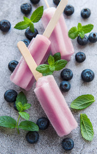 Ice cream popsicles from fresh organic blueberries. summer sweets and desserts. vegan food.