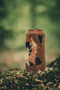 Close-up of rusty metal on rock