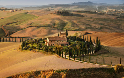 Scenic view of agricultural field against buildings