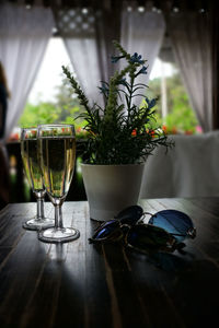 Close-up of potted plant on table