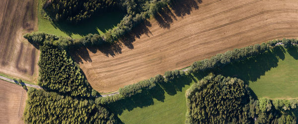 High angle view of trees on landscape