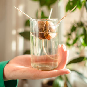 Midsection of woman holding glass