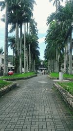 Walkway amidst palm trees in city against sky