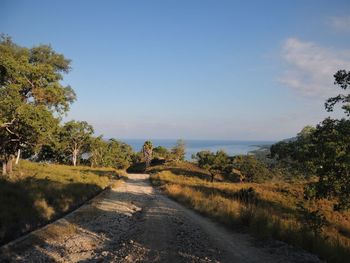 Scenic view of trees and landscape against sky