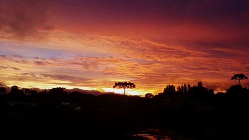 Silhouette trees against sky during sunset