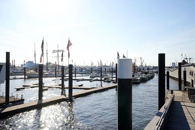 Wooden posts in harbor