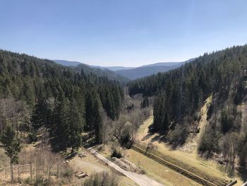 Panoramic shot of road amidst trees against sky