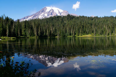 Scenic view of lake by trees against sky