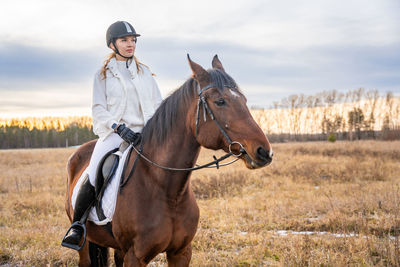 Horse standing on field