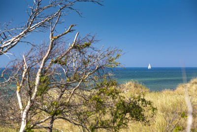 Scenic view of sea against clear blue sky