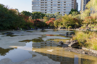 Reflection of trees and buildings in lake