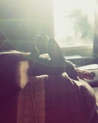 Low section of woman looking through window