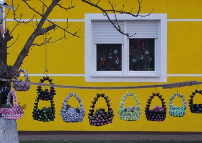 Yellow flowers on window of building