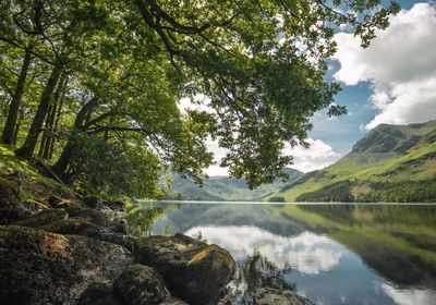 Scenic view of lake by trees against sky