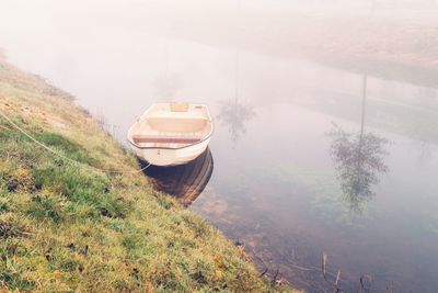 Boat on land by trees