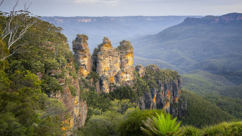 View of trees on landscape