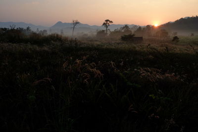 Scenic view of field against sky at sunset