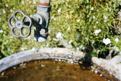 Close-up of faucet in garden during sunny day